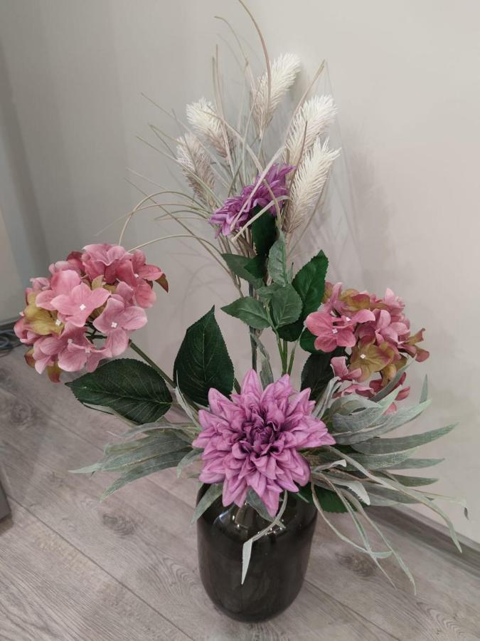 Flowers Apartment Dobritj Eksteriør billede